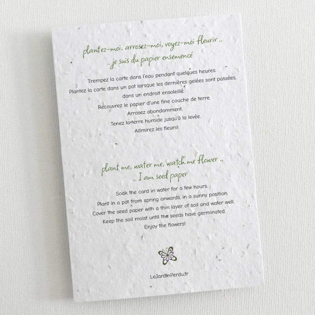 6 Plantable Christmas Cards - Christmas Presents
