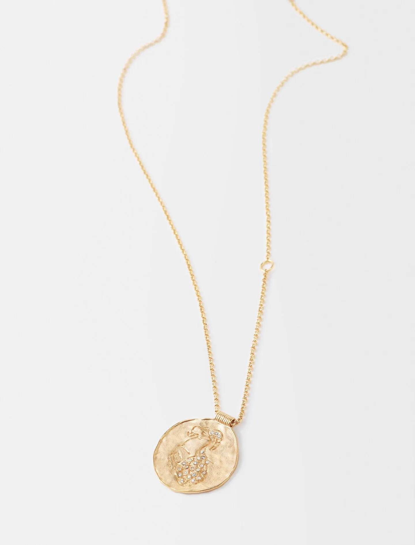 CAPRICORN ZODIAC MEDAL