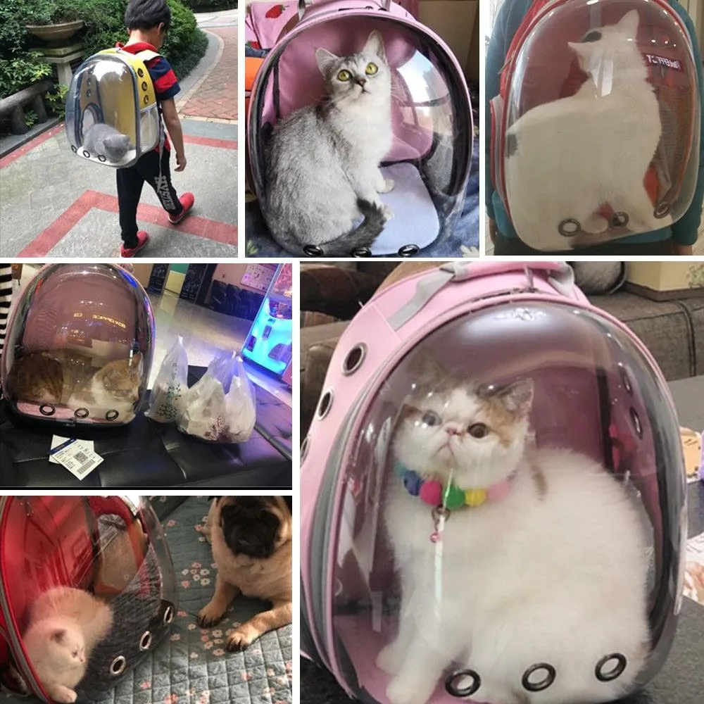 Cat Carrier Breathable Transparent Bag
