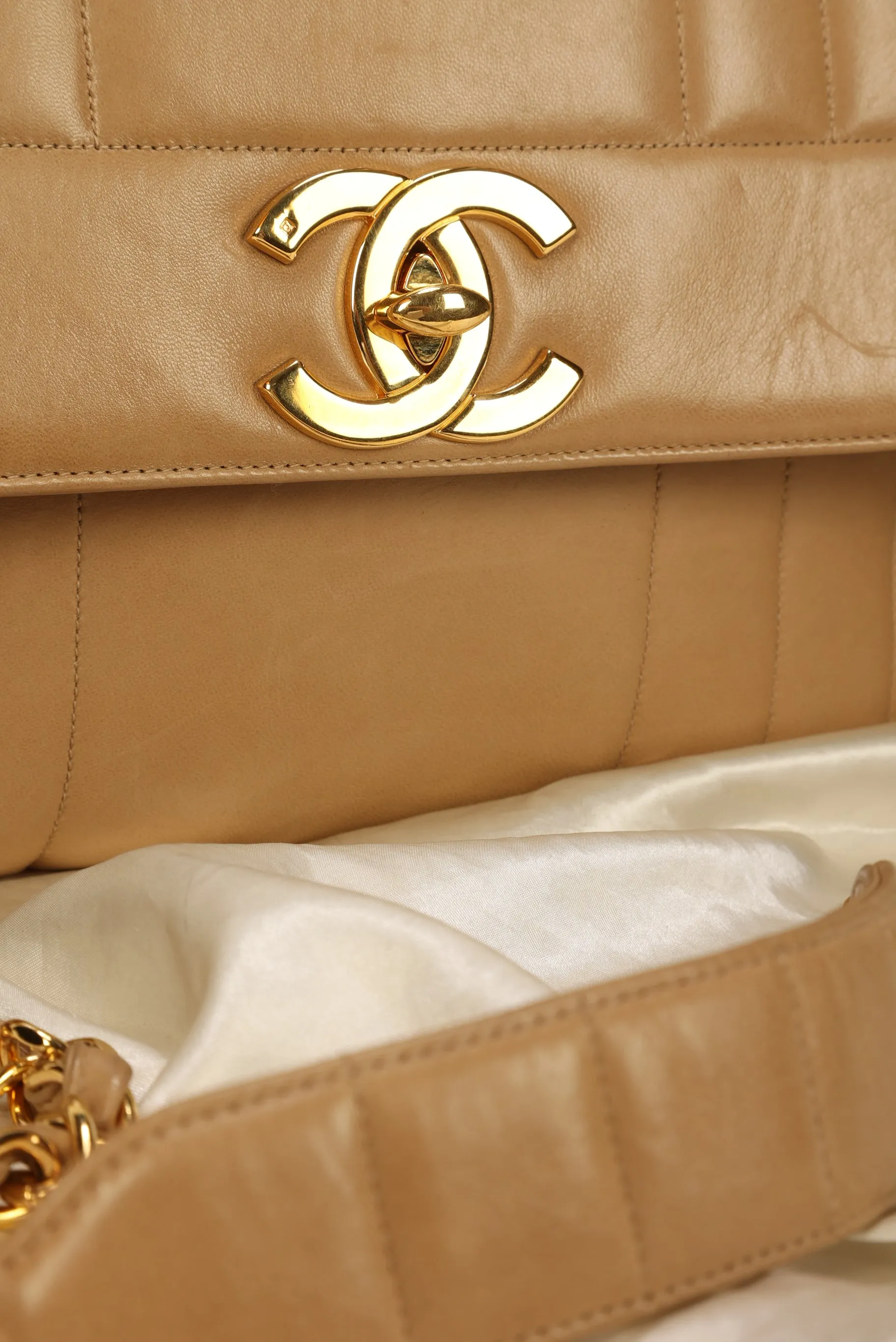 Chanel Vertical Large Camera Bag
