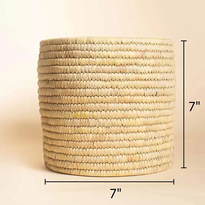 Date Palm Planters | Beige | Plant Not Included