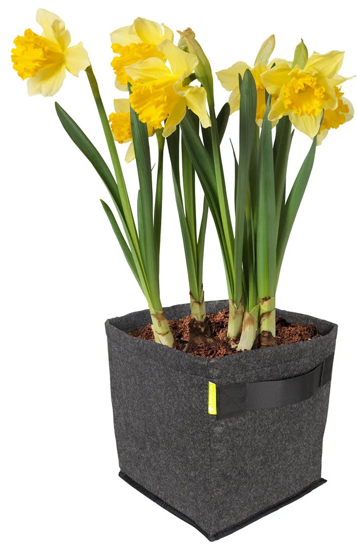 Garden HighPro Geotextile Fabric Grow Bag / Pots with handles