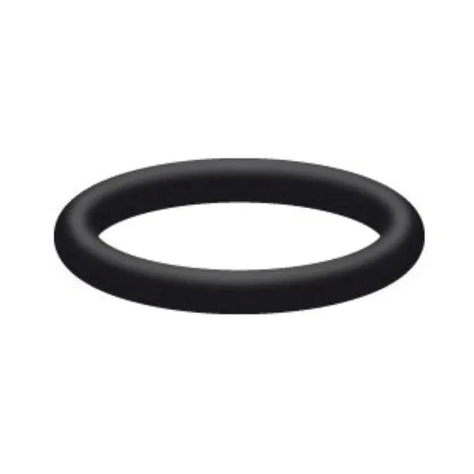 Interpump | O-Ring for Valve | 90.3841.00