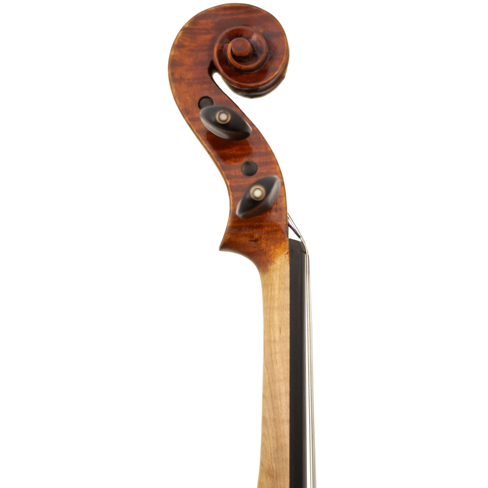 Lady Claire Maple Leaf Strings Professional Viola with Case