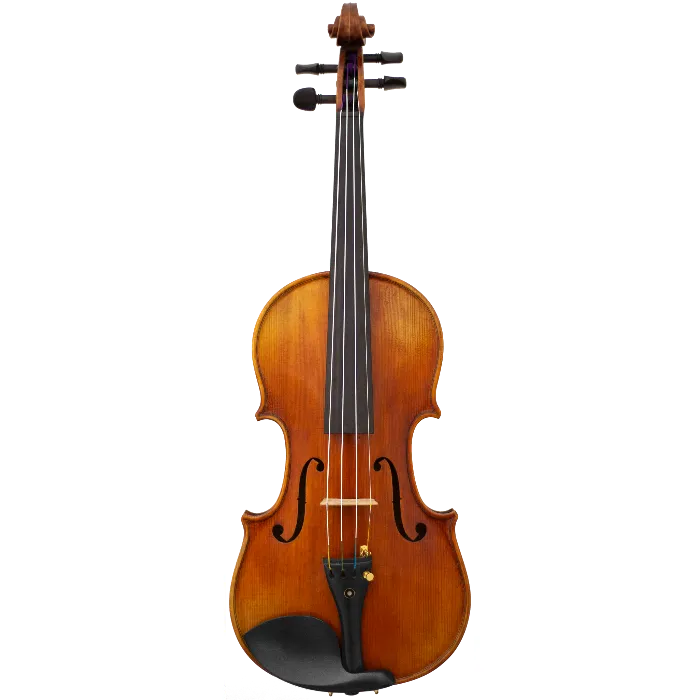 Lady Claire Maple Leaf Strings Professional Viola with Case