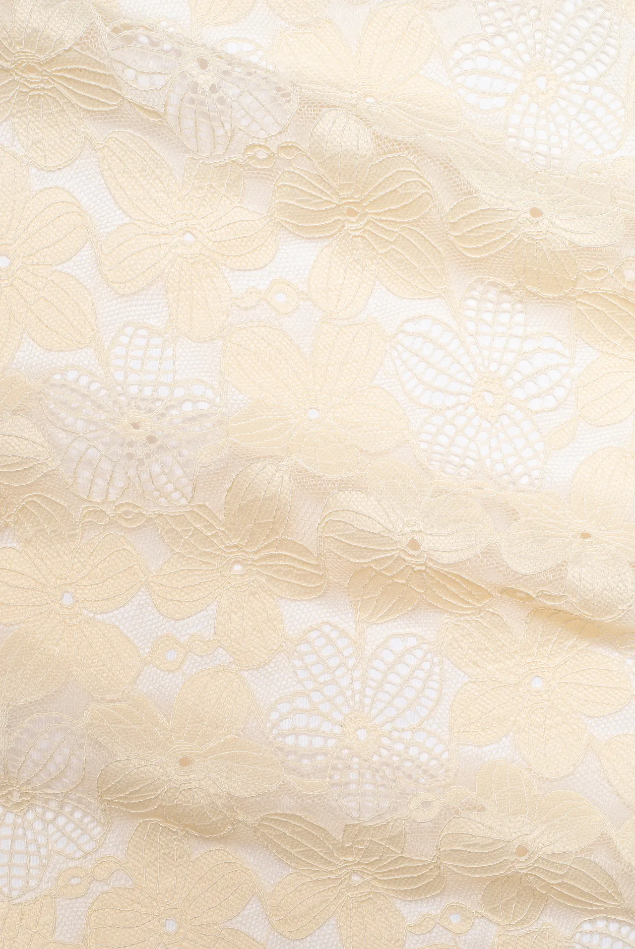 LOU High Waist Briefs - cream