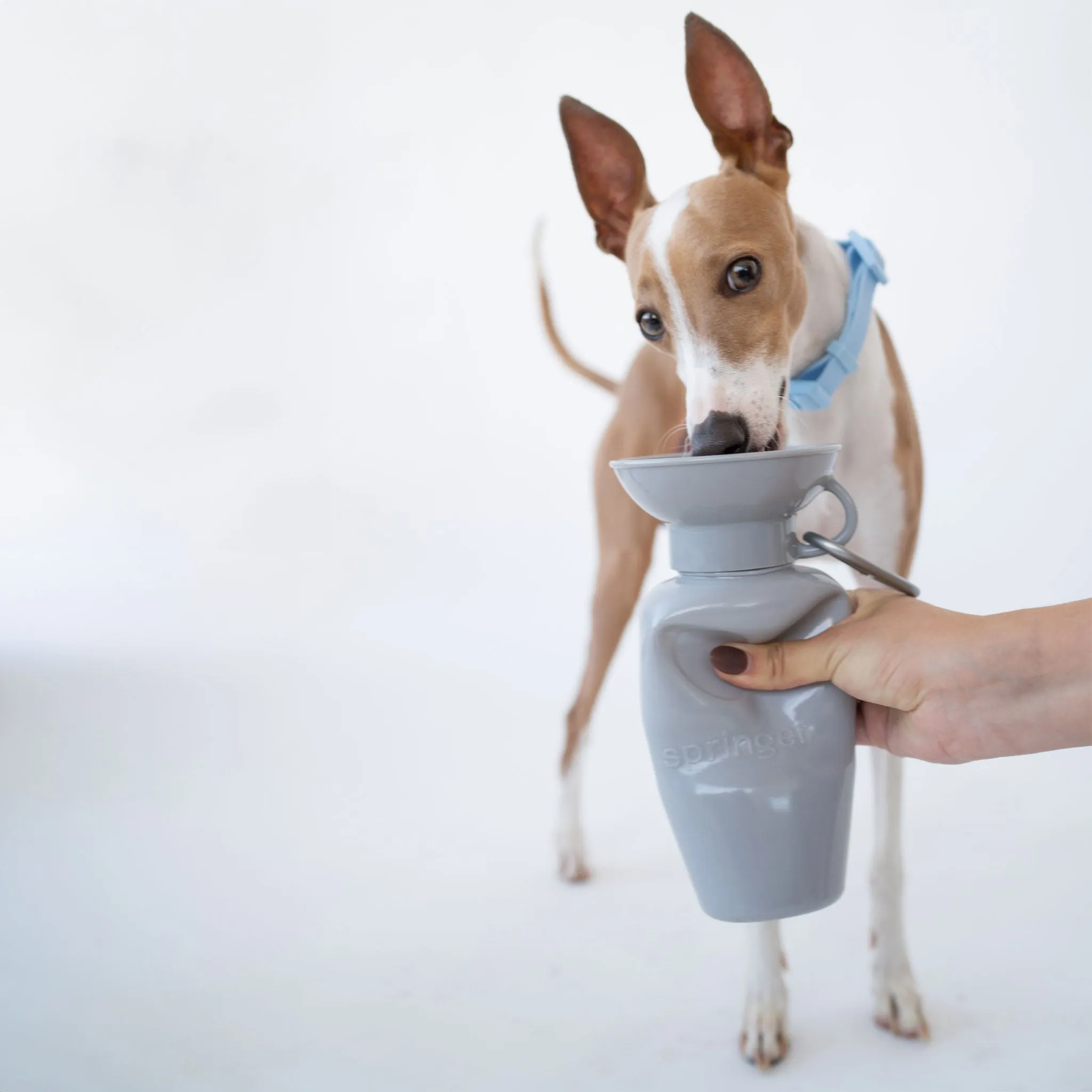 Springer Classic Travel Bottle - Grey