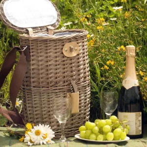 Two Bottle Cooler Wicker Carry Basket 016 by Willow
