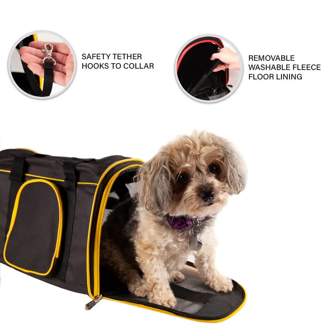 Washington Huskies 16" Premium Pet Carrier