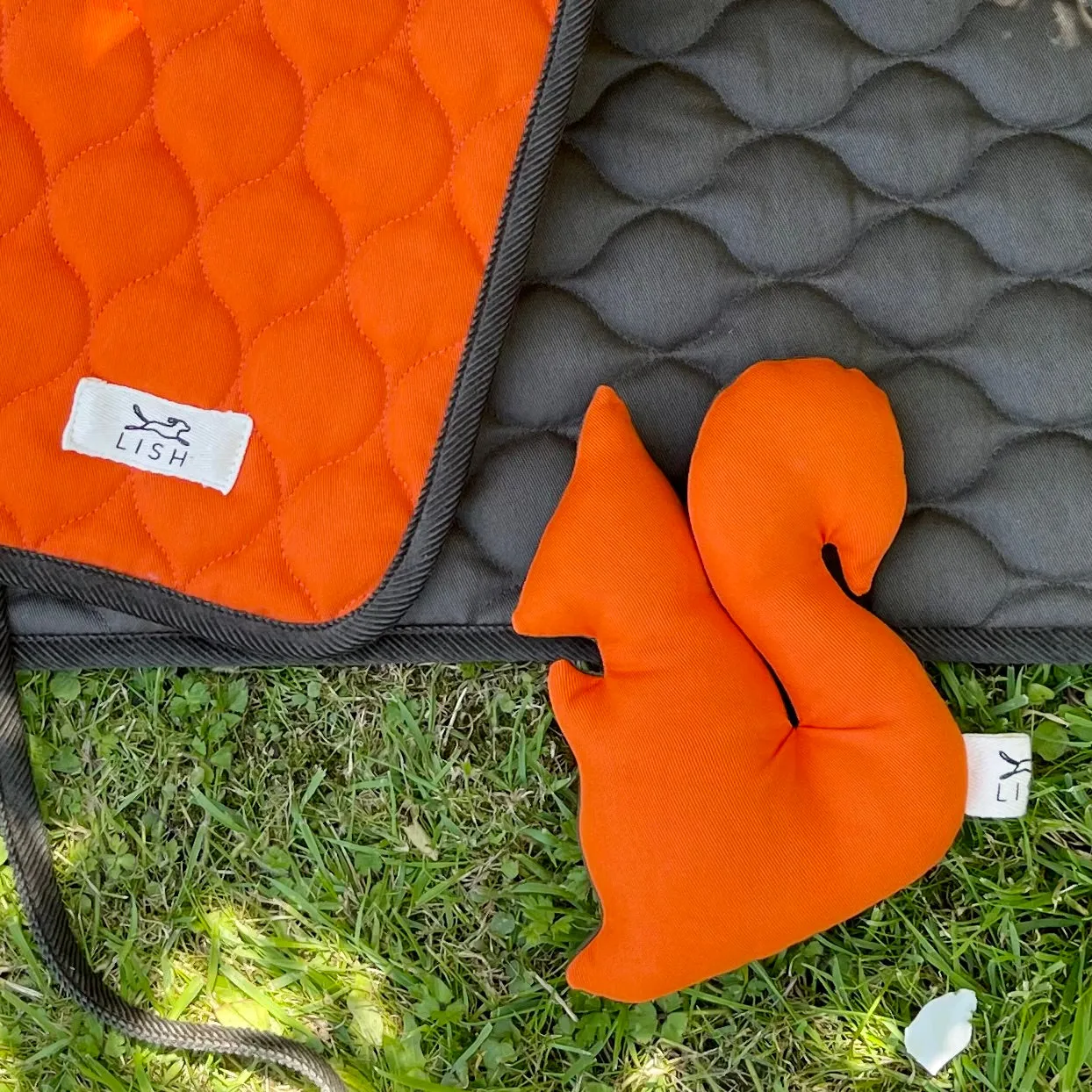 Winkley Orange Designer Pet Travel Blanket
