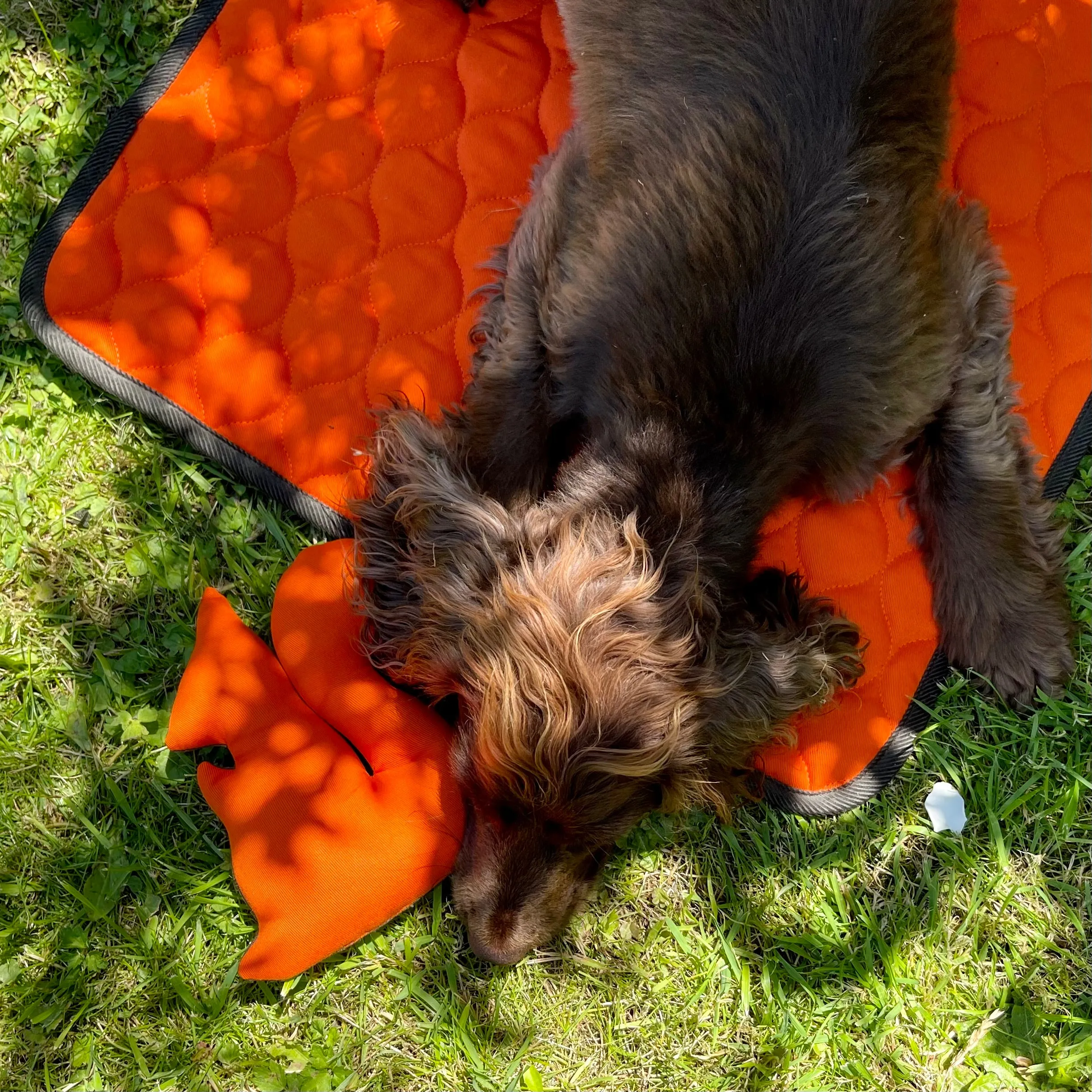 Winkley Orange Designer Pet Travel Blanket